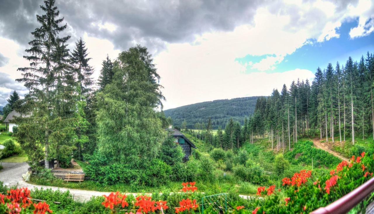 Gaestehaus Schwaiger Mariapfarr Dış mekan fotoğraf